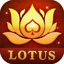 teen patti rich me download